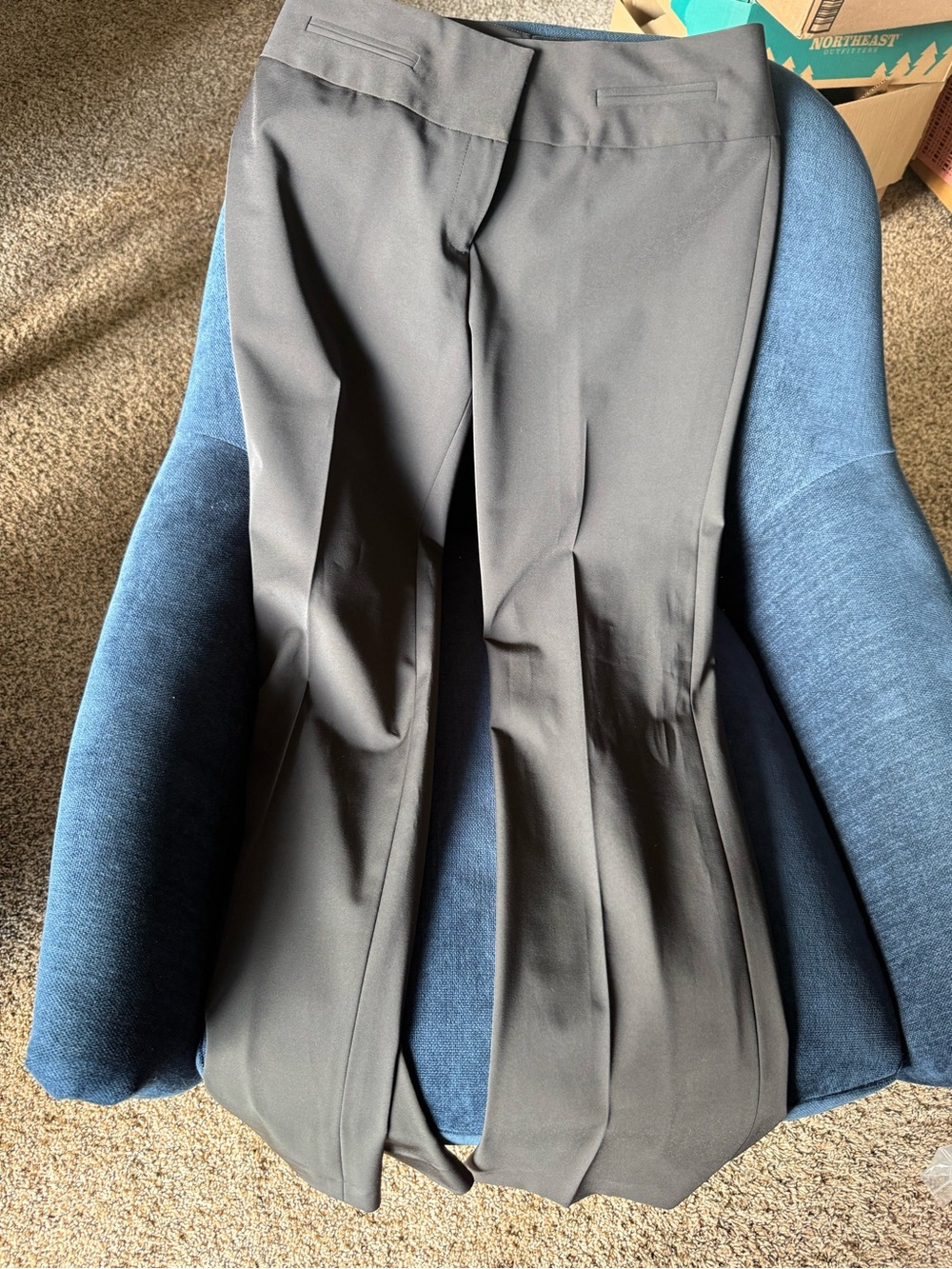 Classiques Entier Black Women's Dress Pants